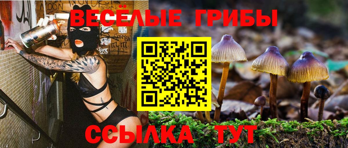 Елабуга  Псилоцибиновые грибы Magic Shrooms  Вход с VPN  Псилоцибиновые грибы ЛСД 
