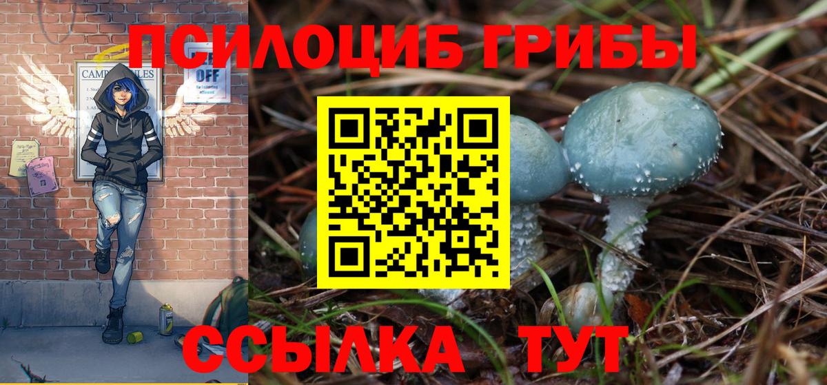 Псилоцибиновые грибы Psilocybe Елабуга
